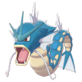 Female Gyarados