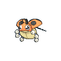 Female Ledyba