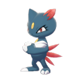 Female Sneasel