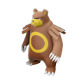 Female Ursaring