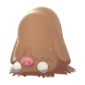 Female Piloswine