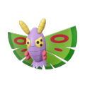 Female Dustox