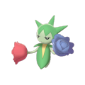 Female Roselia