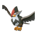 Female Staraptor