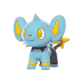 Female Shinx
