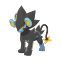 Female Luxray