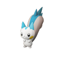 Female Pachirisu