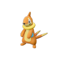 Female Buizel