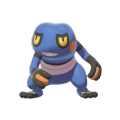 Female Croagunk