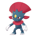 Female Weavile