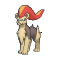 Female Pyroar