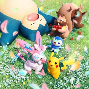 Everyday Wonders Binders - Pokémon TCG Pocket Everyday Wonders Binders