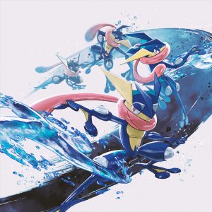 Greninja Binders