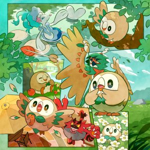 Rowlet Binders - Pokémon TCG Pocket Rowlet Binders