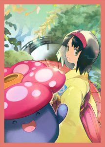 Erika and Vileplume Sleeves