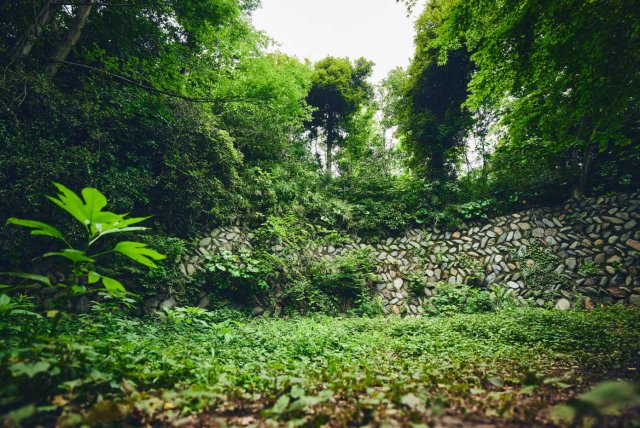 Ancient Stone Wall