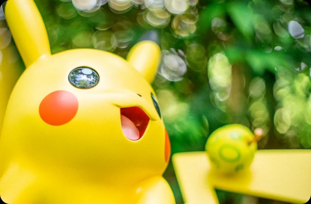 Pokemon Forest