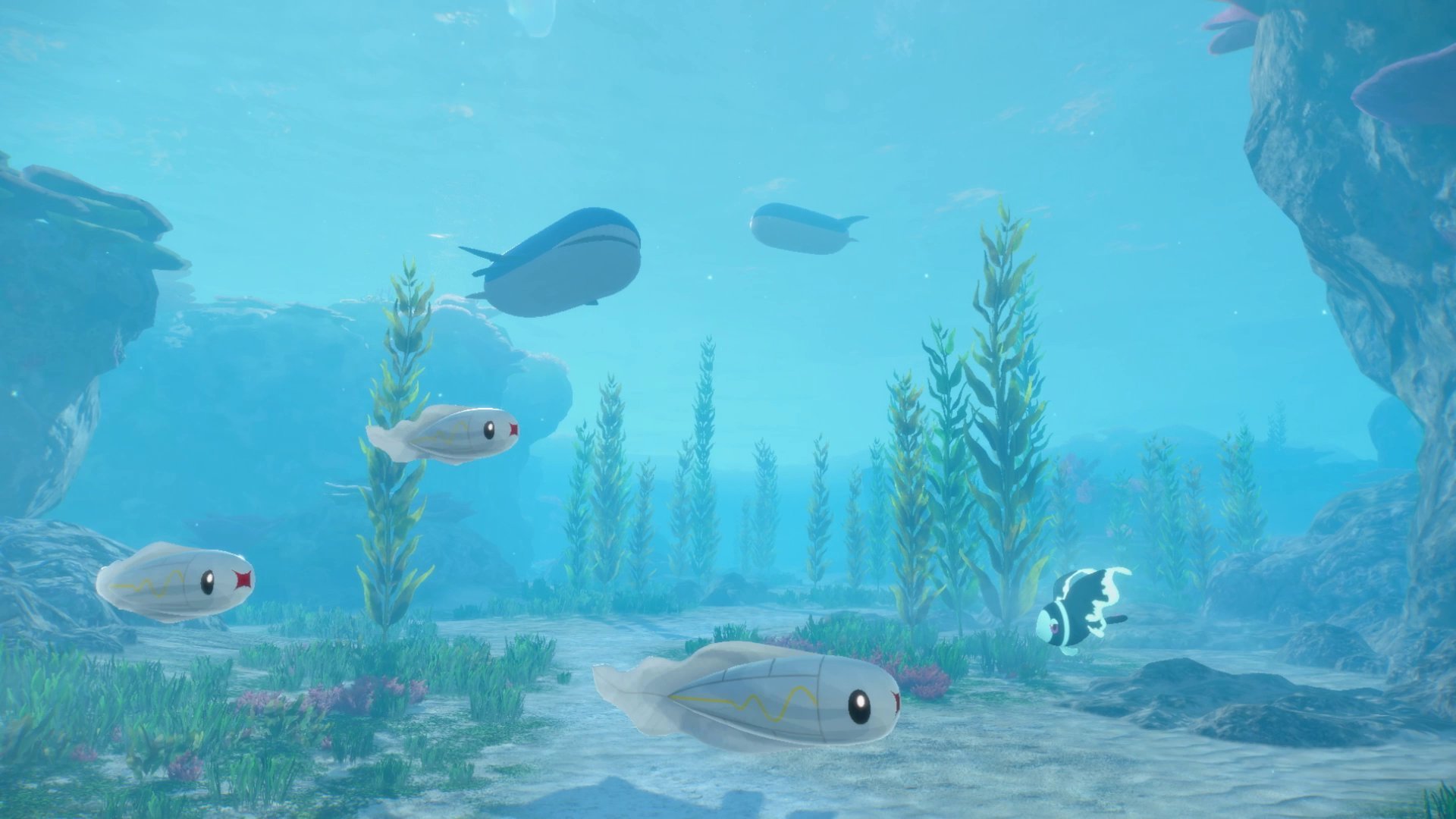 Pok�mon Winds & Waves