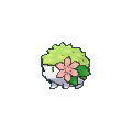 Pokémon 20th Anniversary Shaymin • OT: GF • ID No. 07016 • North Ameri