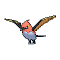 Talonflame - WikiDex, la enciclopedia Pokémon