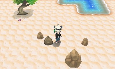 Pokémon X & Y - Wild Battle Items