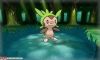 Chespin Appears